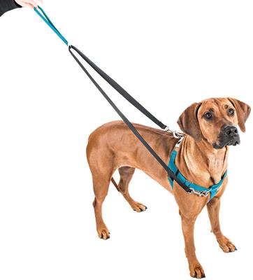 Show full view: 2 Hounds Design Freedom No Pull Nylon Dog Harness & Leash, Turquoise, Medium: 22 to 28-in chest, 1-in wide slide 2 of 6