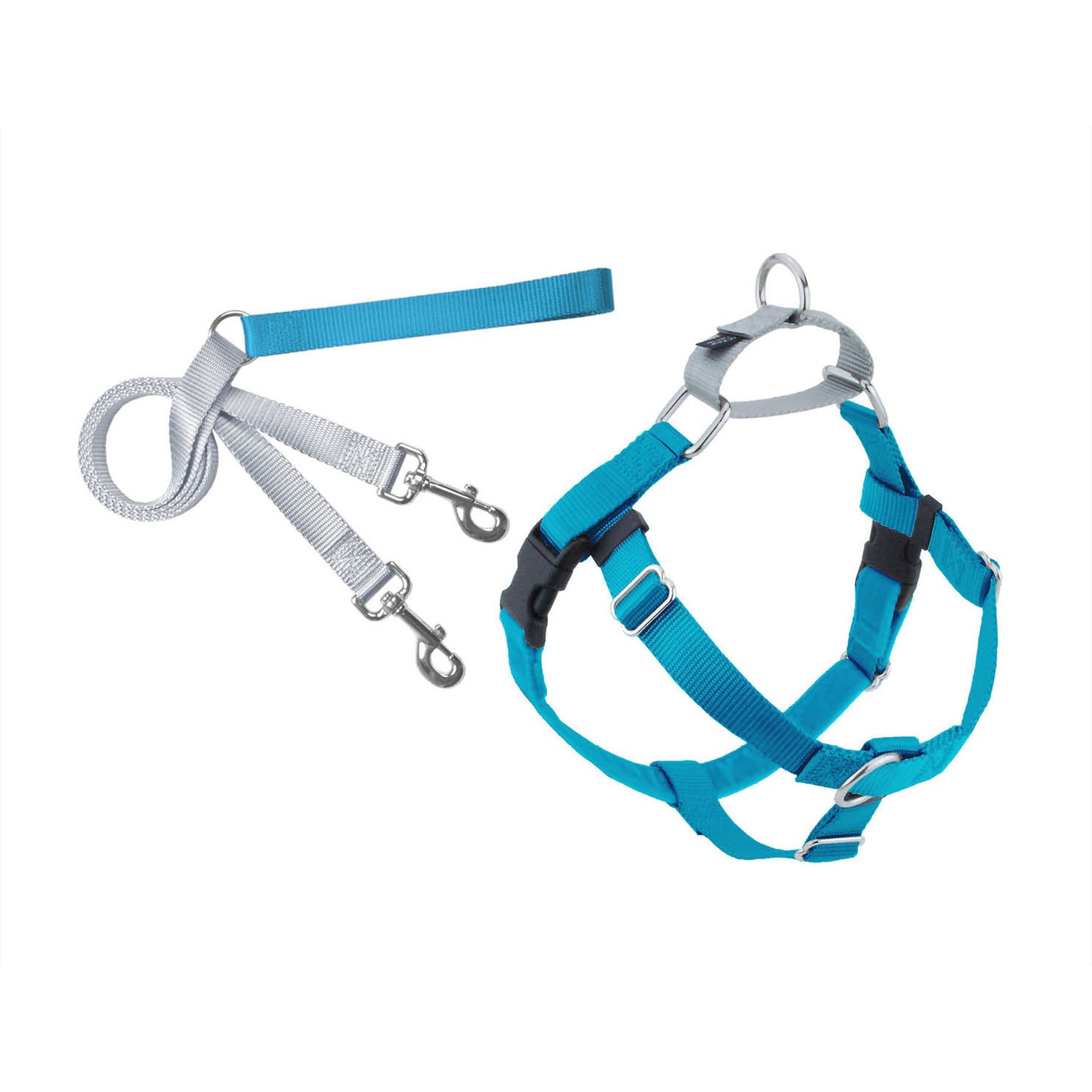 XX-Large 1-in Turquoise Freedom No Pull Dog Harness & Leash, 2 Hounds Design