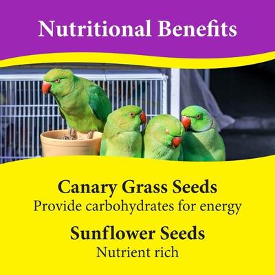 Show full view: 3-D Cockatiel Food, 4.5-lb jar slide 6 of 9