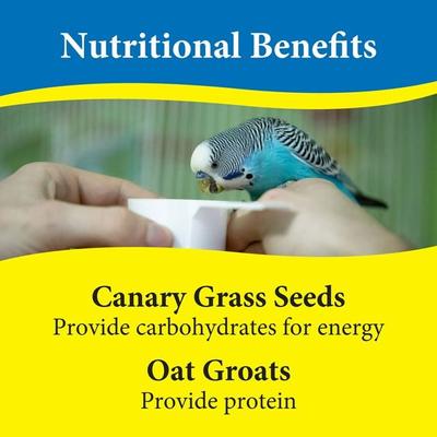 Show full view: 3-D Parakeet Food, 5-lb jar slide 7 of 8