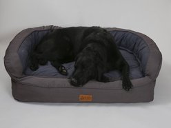 3 Dog Pet Supply EZ Wash Softshell Orthopedic Bolster Dog Bed with Removable Cover, Slate, Medium slide 2 of 5
