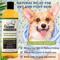 Show in main carousel: 4-Legger Organic, Hypo-Allergenic, Lemongrass & Aloe Dog Shampoo, 16-fl oz bottle slide 6 of 12