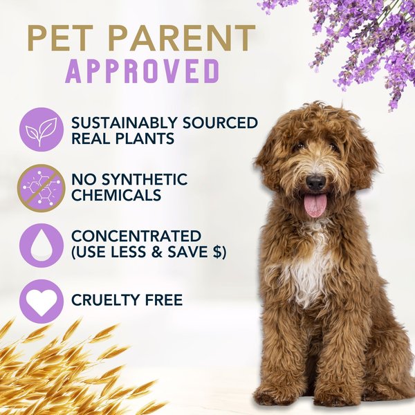 Show full view: 4-Legger Organic Oatmeal, Aloe & Lavender Dog Shampoo, 16-fl oz bottle slide 6 of 10
