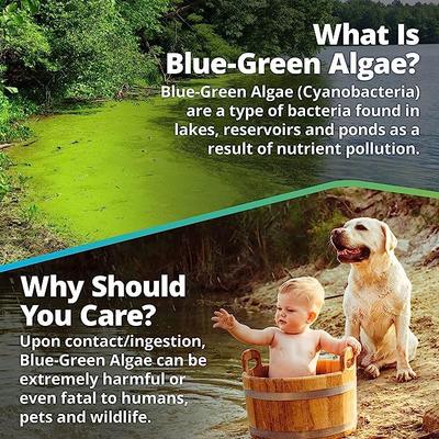 Show full view: 5Strands Blue Green Test for Dog, Cat & Small Pet slide 4 of 7