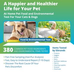 5Strands Food & Environmental Intolerance Test for Dog, Cat & Small Pet slide 2 of 8