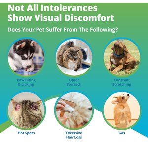 5Strands Food & Environmental Intolerance Test for Dog, Cat & Small Pet
