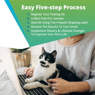 Show full view: 5Strands Food & Environmental Intolerance Test for Dog, Cat & Small Pet slide 5 of 10