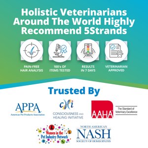 5Strands Food & Environmental Intolerance Test for Dog, Cat & Small Pet
