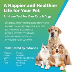 5Strands Food Intolerance Test for Dog, Cat & Small Pet slide 2 of 7