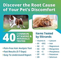 5Strands Nutrition Imbalance Test for Dog, Cat & Small Pet slide 2 of 7