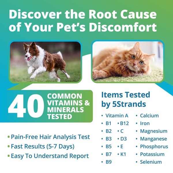 5Strands Nutrition Imbalance Test for Dog, Cat & Small Pet