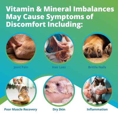 Show full view: 5Strands Nutrition Imbalance Test for Dog, Cat & Small Pet slide 4 of 9