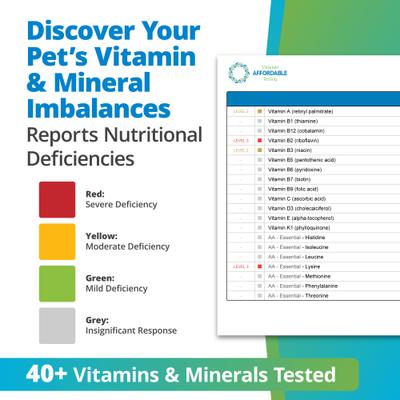 Show full view: 5Strands Nutrition Imbalance Test for Dog, Cat & Small Pet slide 6 of 9