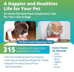 5Strands Raw Food Intolerance Test for Dog, Cat & Small Pet slide 2 of 7