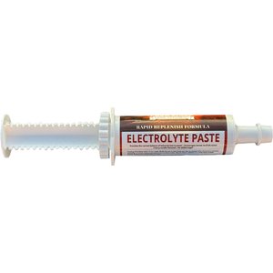 6666 Electrolyte Paste Horse Supplement, 2-oz tube