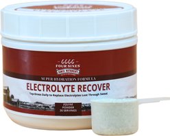 6666 Electrolyte Recover Powder Horse Supplement, 2.6-lb tub slide 1 of 2