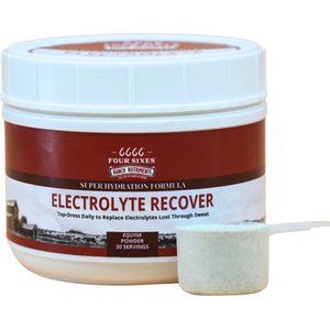 6666 Electrolyte Recover Powder Horse Supplement, 2.6-lb tub