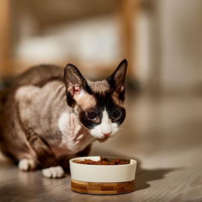 Show full view: 9 Lives Meaty Favorites Variety Pack Canned Cat Food, 5.5-oz, case of 36 slide 6 of 9