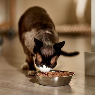 Show full view: 9 Lives Meaty Pate Seafood Platter Wet Cat Food, 5.5-oz can, case of 24 slide 5 of 9