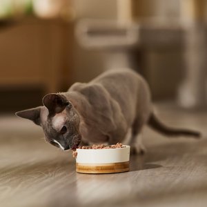 9 Lives Meaty Pate with Real Chicken Wet Cat Food, 5.5-oz can, case of 24