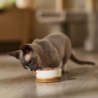 Show full view: 9 Lives Meaty Pate with Real Chicken Wet Cat Food, 5.5-oz can, case of 24 slide 5 of 9