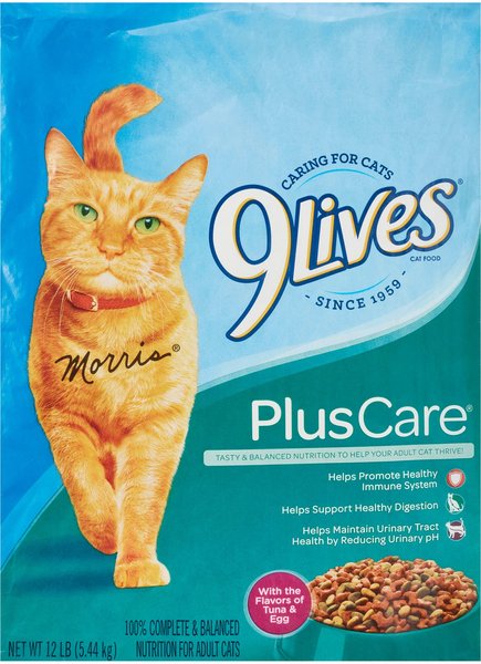9 Lives Plus Care with Tuna & Egg Flavor Dry Cat Food