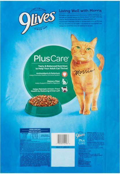 9 Lives Plus Care with Tuna & Egg Flavor Dry Cat Food