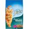 Show in main carousel: 9 Lives Plus Urinary Tract Health Dry Cat Food, 3.15-lb bag slide 1 of 6