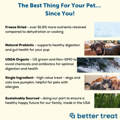 Show full view: A Better Treat Organic Freeze-Dried Pumpkin Organic Dog & Cat Treats, 1-oz bag slide 4 of 10