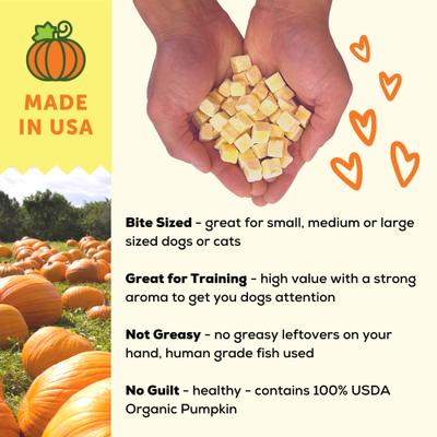 Show full view: A Better Treat Organic Freeze-Dried Pumpkin Organic Dog & Cat Treats, 1-oz bag slide 5 of 10