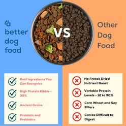 A Better Treat Raw You Can See Salmon Recipe High-Protein Kibble & Raw Freeze-Dried Dog Food, 15-lb bag slide 2 of 6