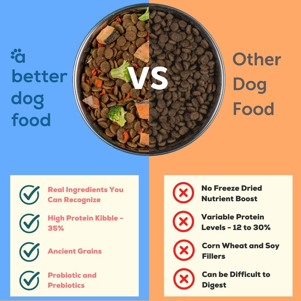 A Better Treat Raw You Can See Salmon Recipe High-Protein Kibble & Raw Freeze-Dried Dog Food
