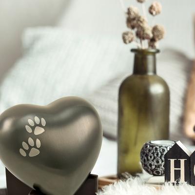 Show full view: A Pet's Life Arielle Heart Paw Dog & Cat Urn, Slate, Small slide 2 of 6