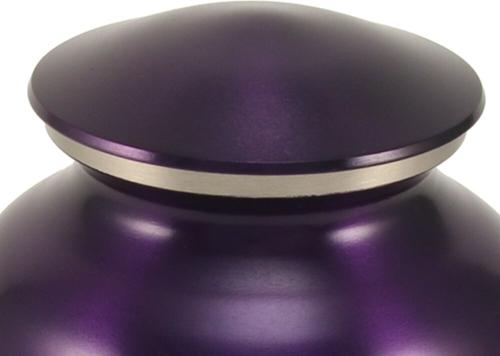 Show full view: A Pet's Life Classic Brass Personalized Dog & Cat Urn, Violet, Medium slide 3 of 6