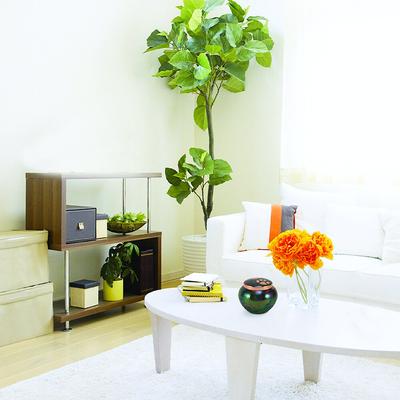 Show full view: A Pet's Life Odyssey Paw Print Dog & Cat Urn, Raku/Copper, Medium slide 3 of 7