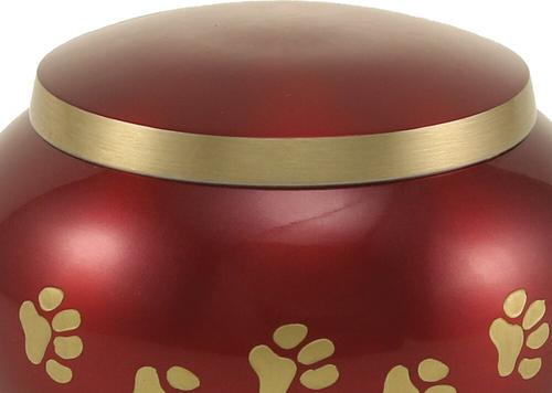 Show full view: A Pet's Life Odyssey Personalized Dog & Cat Urn, Crimson, Small slide 3 of 6