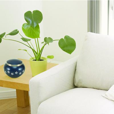 Show full view: A Pet's Life Odyssey Personalized Dog & Cat Urn, Moonlight Blue, Medium slide 2 of 6