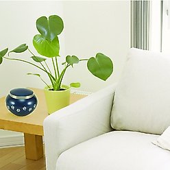 A Pet's Life Odyssey Personalized Dog & Cat Urn, Moonlight Blue, Small slide 2 of 5