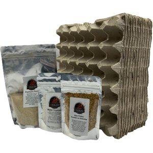 ABDragons 12 Egg Cartons, Chow, & Bee Pollen Granules Insect Housing Kit