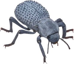 ABDragons Blue Death Feigning Beetle Insect Food, 5 count