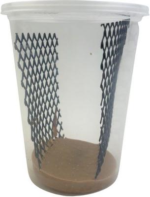 Show full view: ABDragons Hornworm Dry Reptile Food, 4 count slide 5 of 5