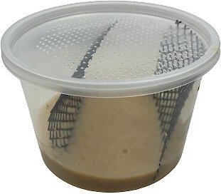 Show full view: ABDragons Hornworm Food, 1-cup slide 3 of 4