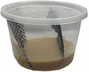 Show full view: ABDragons Hornworm Food, 1-cup slide 4 of 4