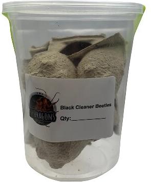 Show full view: ABDragons Live Black Cleaner Beetles Small Pet & Reptile Food, 1000 count slide 3 of 5