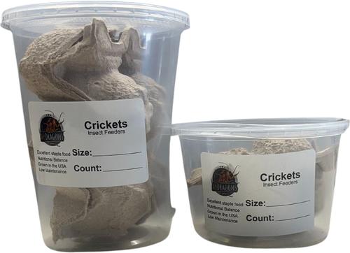 Show full view: ABDragons Live Crickets Reptile Food, Medium, 100 count slide 3 of 6
