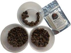 ABDragons Live Dubia Roaches Mixed Mixe Sized Reptile Food, 1-oz gel, Large Group