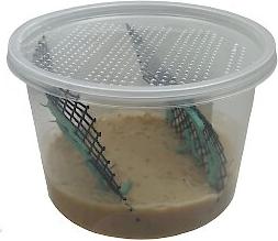 Show full view: ABDragons Live Hornworms Reptile, Bird, Fish & Small Pet Food, 25 count slide 6 of 8