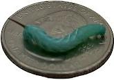 Show full view: ABDragons Live Hornworms Reptile, Bird, Fish & Small Pet Food, 50 count slide 3 of 7