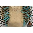Show in main carousel: ABDragons Live Hornworms Reptile, Bird, Fish & Small Pet Food, 50 count slide 6 of 7