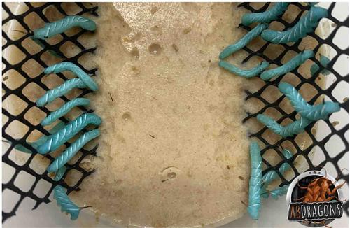 Show full view: ABDragons Live Hornworms Reptile, Bird, Fish & Small Pet Food, 50 count slide 6 of 7